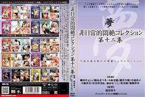 DPH-116 Extraordinary Agony Collection Vol12 DPH-116 Extraordinary Agony Collection Vol12