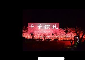 FC2-PPV-3166039 ppv3166 Legendary Beauty Again Clear Air And The Best Beauty Again Please See The Shocking 3P Sakura 18 Years Old