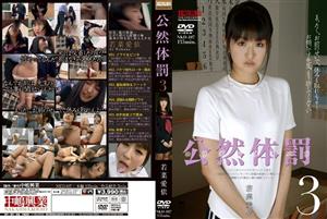 NKD-107 Public Corporal Punishment 3 Ai Wakana