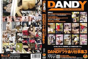 DANDY-221 Official Complete Edition Work With Reasons 3